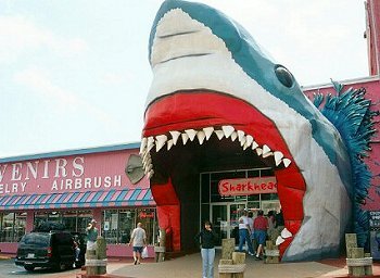 Sharkheads Souvenir Shop Biloxi MS