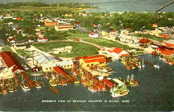 Birdseye View of Seafood Industry in Biloxi, Miss.